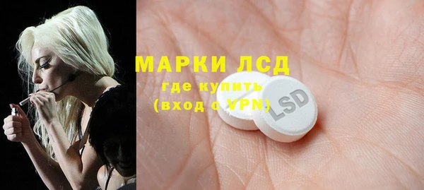 гидра Абаза