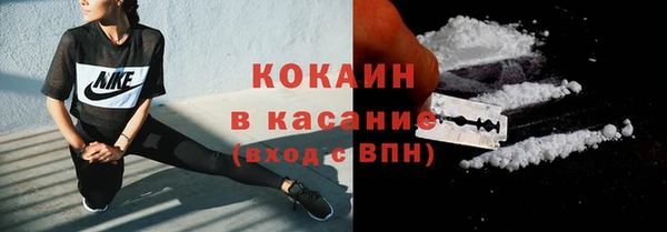 гидра Абаза