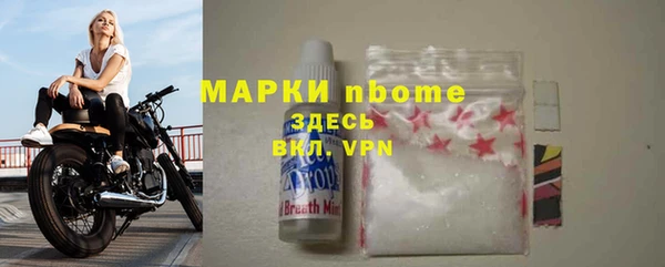 гидра Абаза