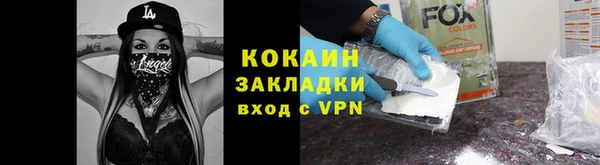 гидра Абаза