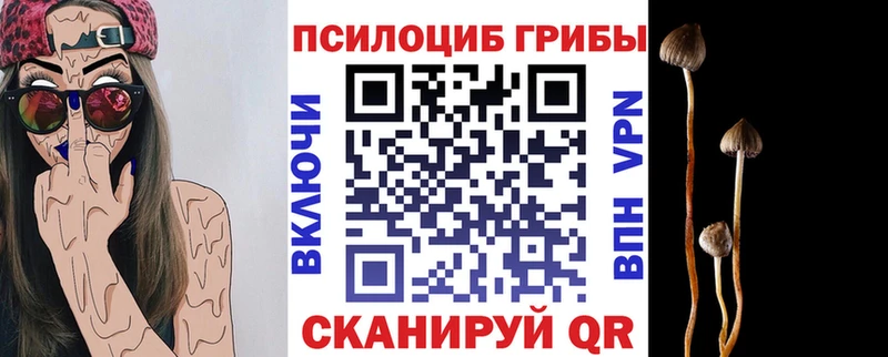 Галлюциногенные грибы мицелий  Азов 